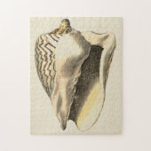 Sepia Conch Shell Legpuzzel (Verticaal)