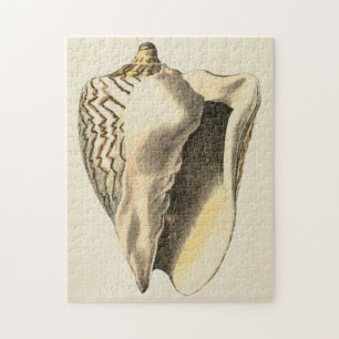 Sepia Conch Shell Legpuzzel