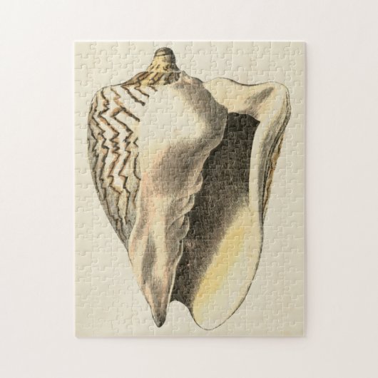Sepia Conch Shell Legpuzzel (Verticaal)