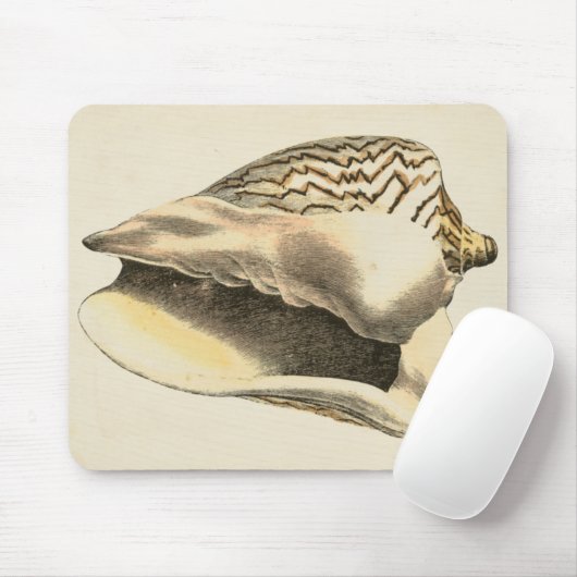Sepia Conch Shell Muismat (Met muis)