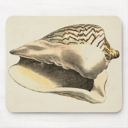 Sepia Conch Shell Muismat (Voorkant)