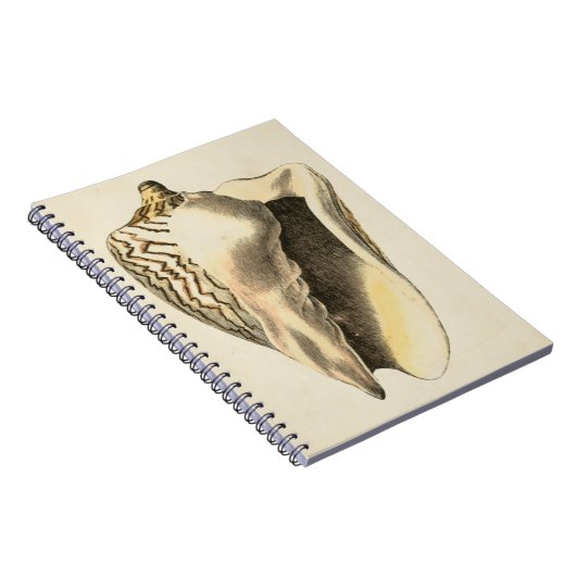  Sepia Conch Shell Notitieboek (Rechterzijde)
