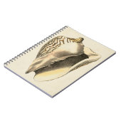  Sepia Conch Shell Notitieboek (Linkerzijde)
