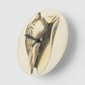 Sepia Conch Shell Ronde Klok (Hoek)