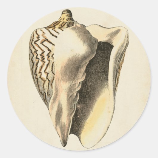 Sepia Conch Shell Ronde Sticker (Voorkant)