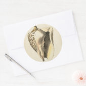 Sepia Conch Shell Ronde Sticker (Envelop)