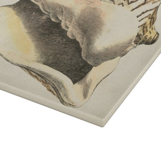 Sepia Conch Shell Snijplank (Hoek)