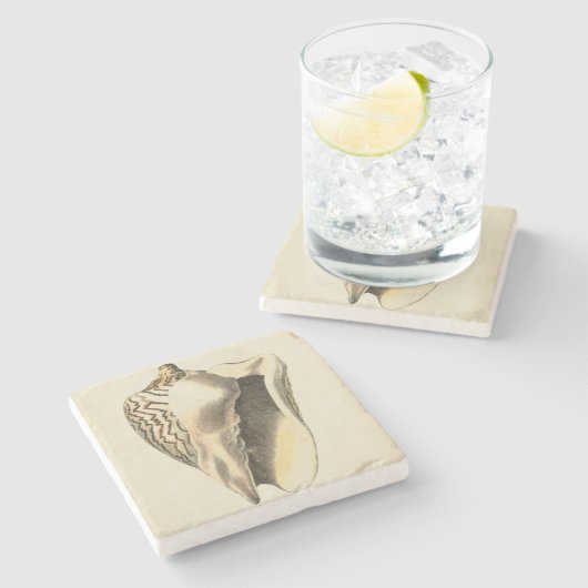  Sepia Conch Shell Stenen Onderzetter (Zijkant)