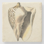  Sepia Conch Shell Stenen Onderzetter (Voorkant)