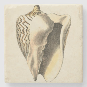 Sepia Conch Shell Stenen Onderzetter