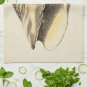 Sepia Conch Shell Theedoek (Gevouwen)