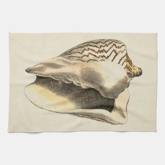 Sepia Conch Shell Theedoek (Horizontaal)