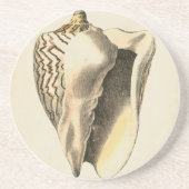  Sepia Conch Shell Zandsteen Onderzetter (Voorkant)