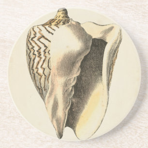 Sepia Conch Shell Zandsteen Onderzetter