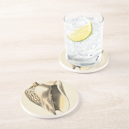  Sepia Conch Shell Zandsteen Onderzetter (Zijkant)