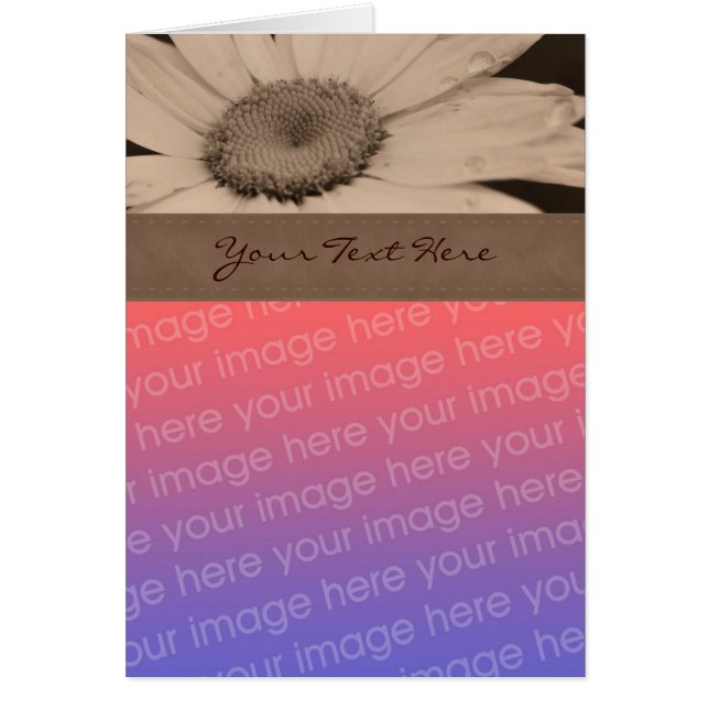 Sepia Daisy Flower Photo Card (Voorkant)
