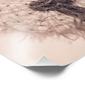 Sepia Dandelion Blow Ball Plant Foto Afdruk (Hoek)