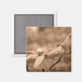 Sepia de Magneet van de Fotografie van de Bloem (Voorkant / Achterkant)