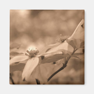 Sepia de Magneet van de Fotografie van de Bloem