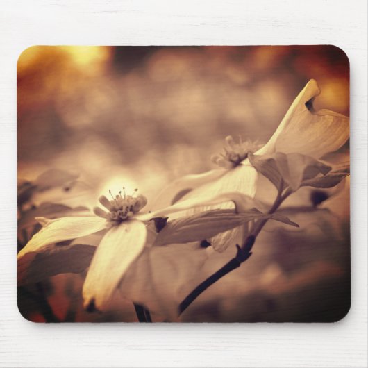  Sepia Dogwood Blossingbloem Muismat (Voorkant)