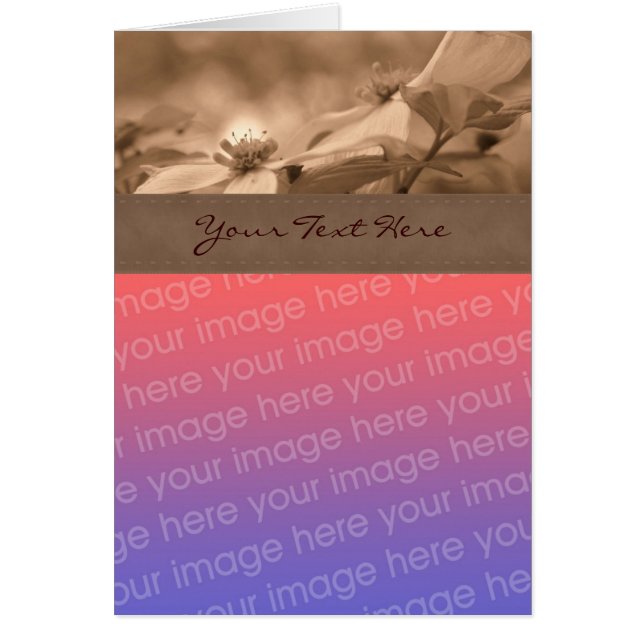 Sepia Dogwood Flower (Voorkant)