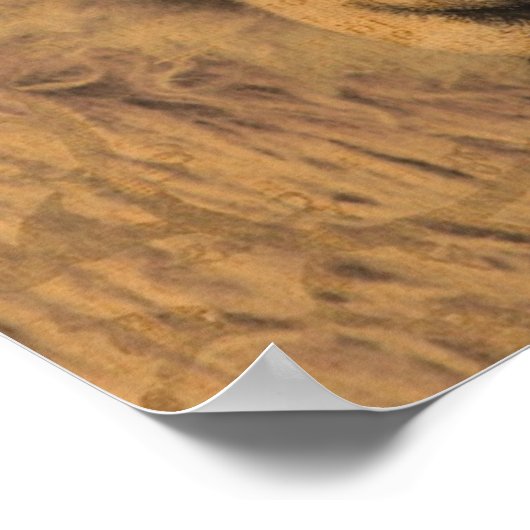 Sepia Ewe Poster (Hoek)