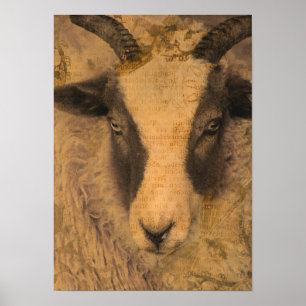 Sepia Ewe Poster