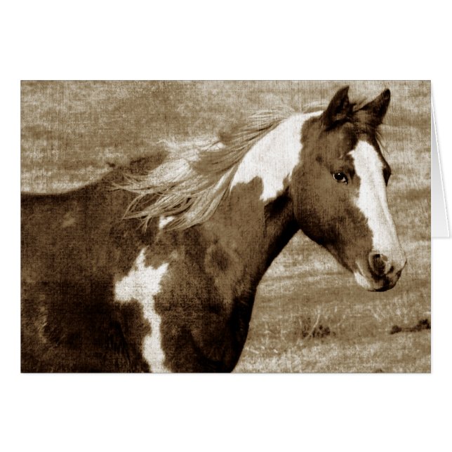 Sepia Flashy Mare (Voorkant Horizontaal)