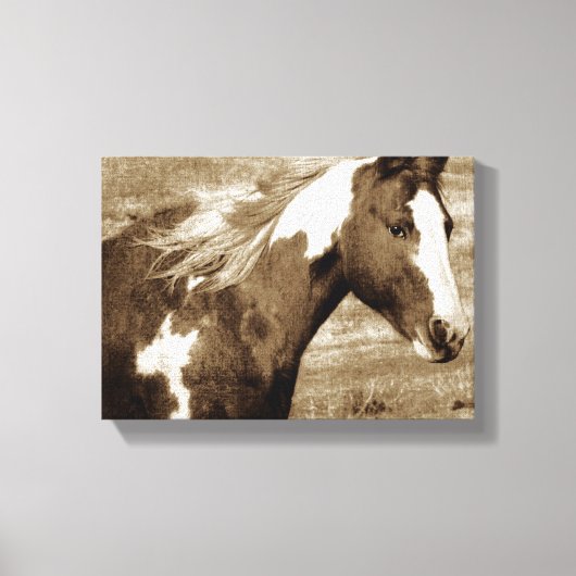 Sepia Flashy Mare Canvas Afdruk (Voorkant)