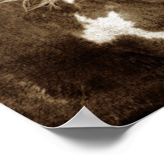 Sepia Flashy Mare Poster (Hoek)