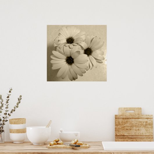 Sepia Flowers Poster (Keuken)