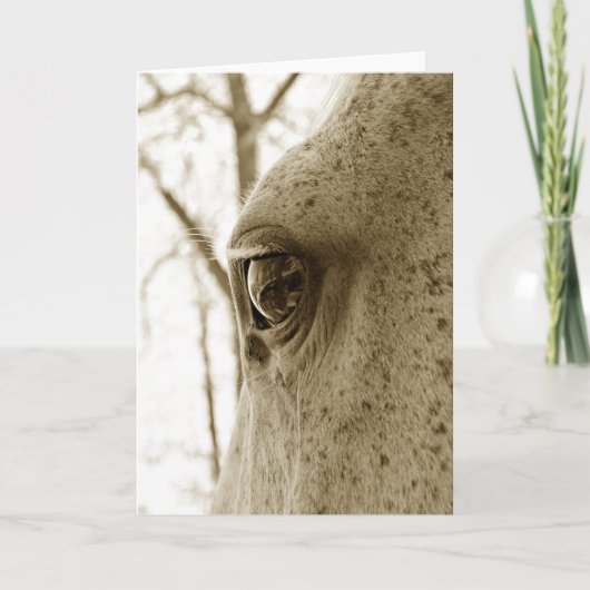 Sepia Foto van Dappled Grey Horse Eye Kaart (Voorkant)