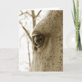 Sepia Foto van Dappled Grey Horse Eye Kaart