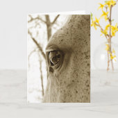 Sepia Foto van Dappled Grey Horse Eye Kaart (Gele Bloem)