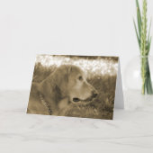 Sepia Golden Retriever Kaart (Voorkant)