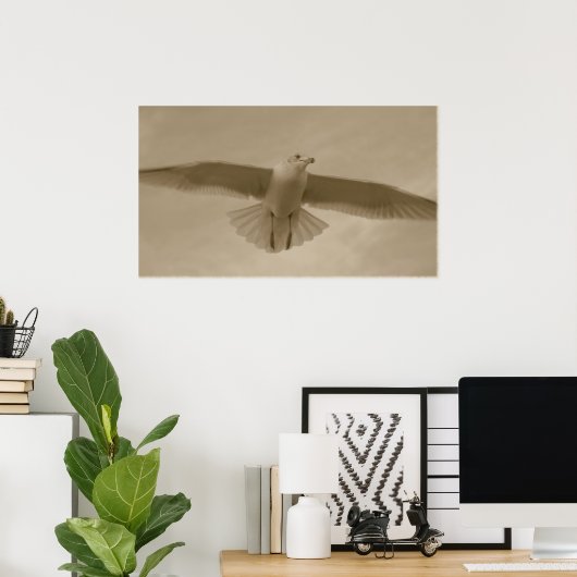 Sepia Gull Poster (Thuiskantoor)