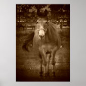 Sepia Hallo Poster (Voorkant)