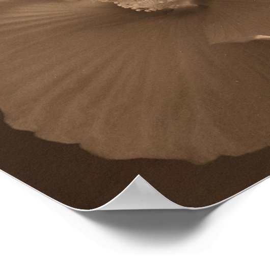 Sepia Hibiscus Flower Pair Poster (Hoek)