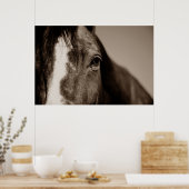 Sepia Horse fotografie Poster (Keuken)