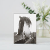 Sepia Horse Portrait Briefkaart (Staand voorkant)