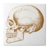 Sepia Human Skull Tegeltje (Voorkant)