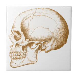 Sepia Human Skull Tegeltje