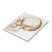 Sepia Human Skull Tegeltje (Zijkant)