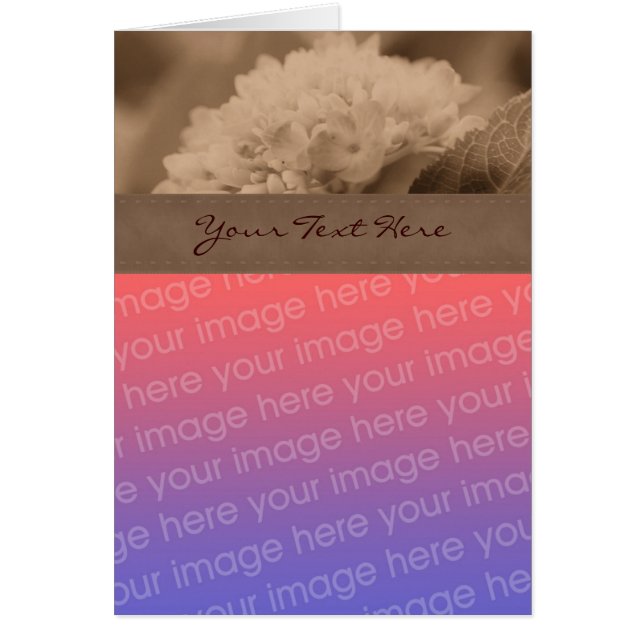 Sepia Hydrangea Flower Photo Card (Voorkant)