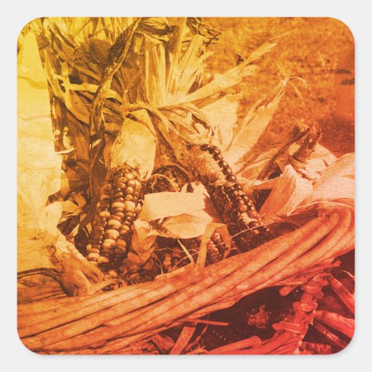  sepia Indian Corn in mandje Vierkante Sticker (Voorkant)