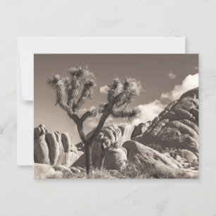 Sepia Joshua Bomen Landschap met Rocks Briefkaart