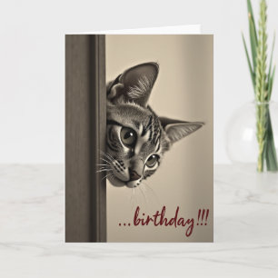Sepia Kitten Verjaardagskaart Kaart