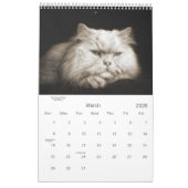 Sepia Kitty Cats voor Pet Lover 12 maanden Kalender (Mar 2026)