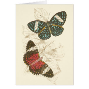 Sepia Leaves met kleurrijke Butterflies