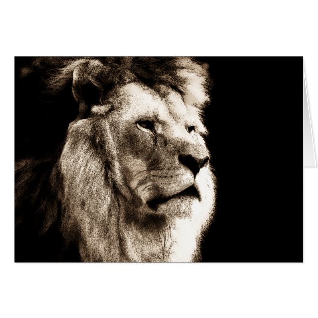 Sepia Lion (Voorkant Horizontaal)